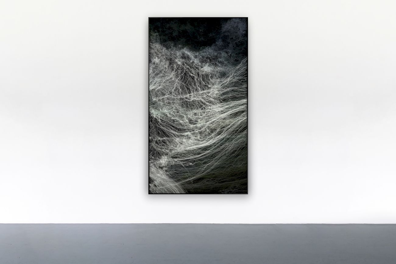 Julian Palacz ⋅ Candids (1) Julian Palacz ⋅ Candids (1)