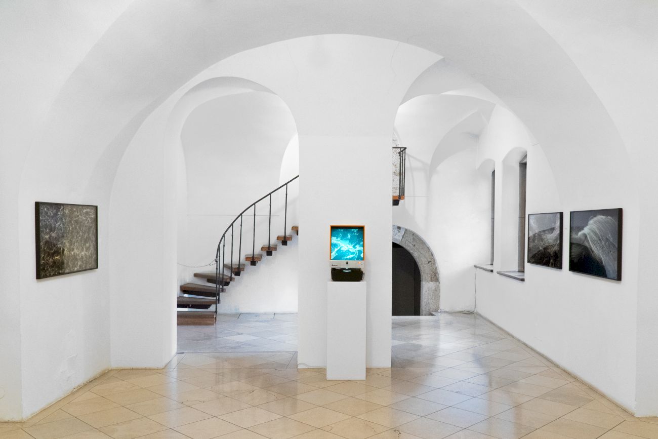 Julian Palacz ⋅ Wirbel-Analysen (1) Julian Palacz ⋅ Wirbel-Analysen (1)