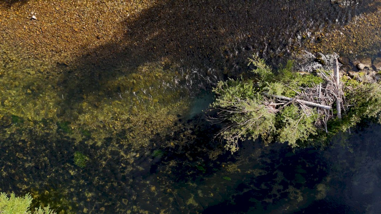 Julian Palacz ⋅ Flussaufwärts (1) Julian Palacz ⋅ Flussaufwärts (1)